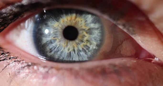 Macro beautiful female blue eye closeup 4k movie slow motion