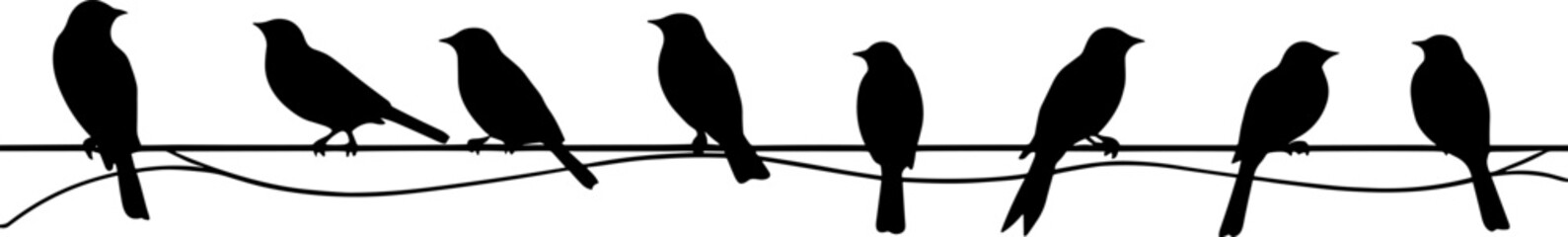 Silhouette of birds on the wires for decoration. AI generated illustration. - obrazy, fototapety, plakaty