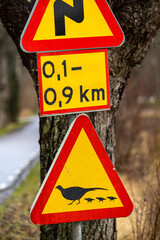 Viderup, Sweden A traffic warning triangkle orange road sign indicating a pheasant crossing.