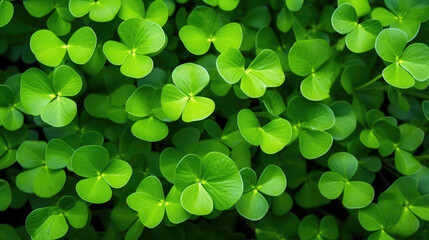 Close-up view of bunch of green leaves. This image can be used to represent nature, foliage, or environmental concepts.