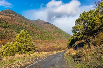 country road along a gorge not far from Durso in the mountains of the Western Caucasus (South of Russia) on a sunny winter day
