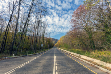 Fototapeta premium Road in the mountains, a picturesque view of the road among the trees against the sky in the autumn in the mountains.