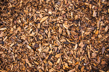 texture of wooden sawdust of large fraction, bunch of wood chip, sawdust or wood dust texture,sawdust, wood background, ecofriendly coating on the playground