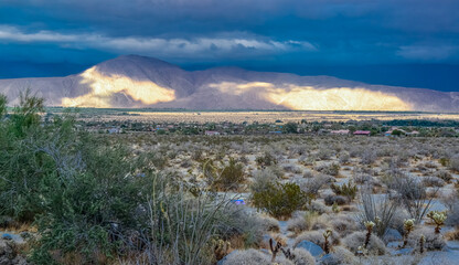 Valley overgrown with desert vegetation on a cloudy day, Mountains in the background, State park ANZA-BORREGO DESERT