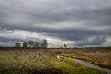 Magical spring landscape. Stream in the foreground with muddy water, dramatic sky above the horizon. Green young and old dry grass