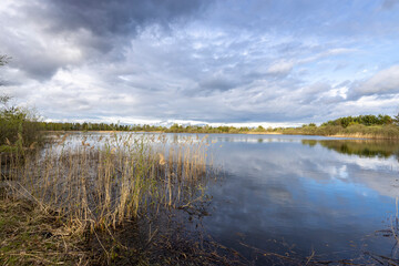 Spring landscape with a pond and sky. Last year's dry grass in the foreground, a strip of forest on the horizon. clouds reflected in the water