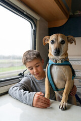 Family with a child and a dog traveling in a motorhome together
