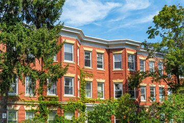 Red brick classic style row houses in a summer day, Brighton, MA, USA - obrazy, fototapety, plakaty