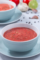 Gazpacho soup in bowl, vertical