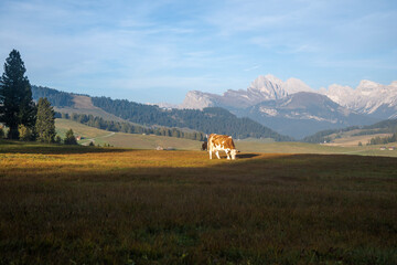 Dolomites landscape in Italy, autumn