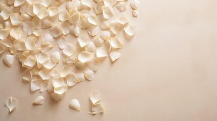  a close up of a bunch of white petals on a beige background with a small amount of petals scattered on top of the petals.