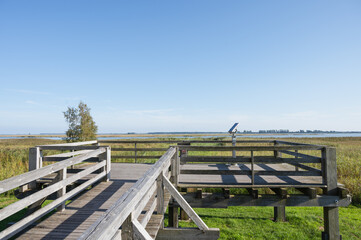 Fototapeta na wymiar Bird-watching platform on Darss in Mecklenburg Vorpommern in the North of Germany on a sunny day