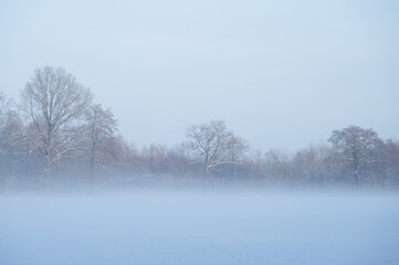 Obraz na płótnie Canvas Scenic view of a snowy landscape on a foggy winter day