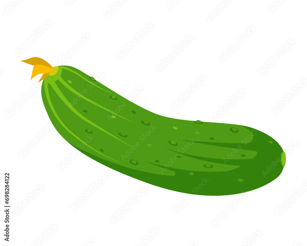 Wall mural Green fresh whole cucumber. Cucumber plant icon. Organic vegetables vegetarian food. Vector illustration isolated on white background.