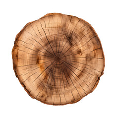 Slice tree trunk isolated on transparent background. AI generated.