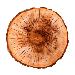 Slice tree trunk isolated on transparent background. AI generated.