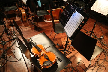 the violin and note © vesaire