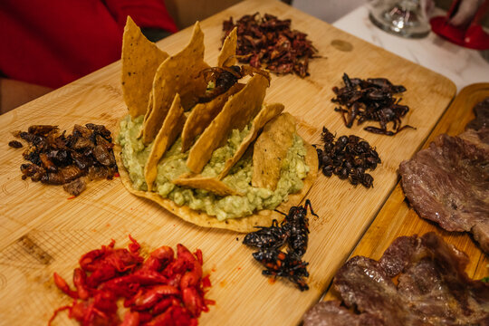 Delicious insect board with guacamole and toast, with grasshoppers, chinicuiles, escamoles, chicatanas, acosiles, scorpions. Traditional pre-Hispanic Mexican food.