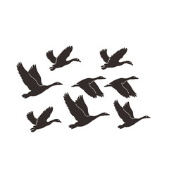 a group of birds flying silhouette with transparent background	