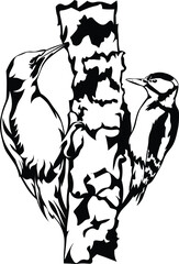 Cartoon Black and White Isolated Illustration Vector Of 2 Woodpeckers On A Tree Branch