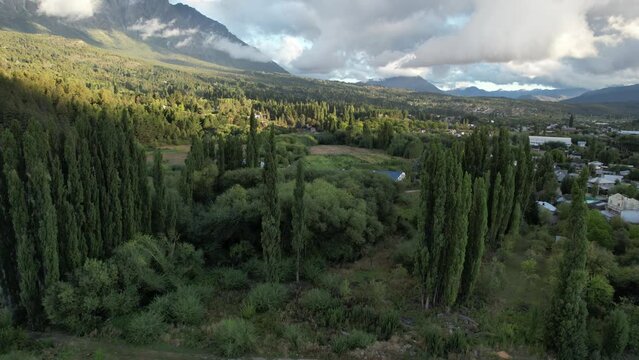Pinos al pi&eacute; de la monta&ntilde;a, El Bols&oacute;n, Patagonia Argentina.