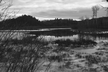 Richmond Et Marais Kingsbury 25 D&eacute;cembre 2023 N&B