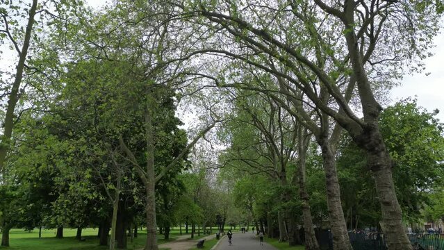 Drone footage of people running and cycling on a paved trail between trees in Victoria Park, England