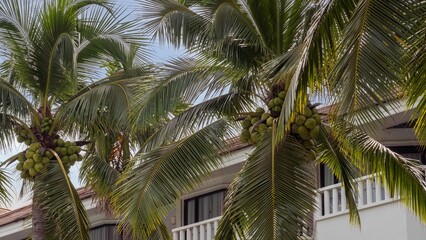 Fototapeta premium a building with many palm trees and a white car parked in front