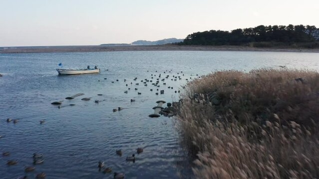 Drone flight over river and beach with waterbirds at sunset Miyazaki Japan