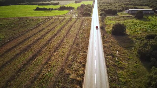 Drone footage of a care driving on an asphalt road passing through green fields at sunset, Greece