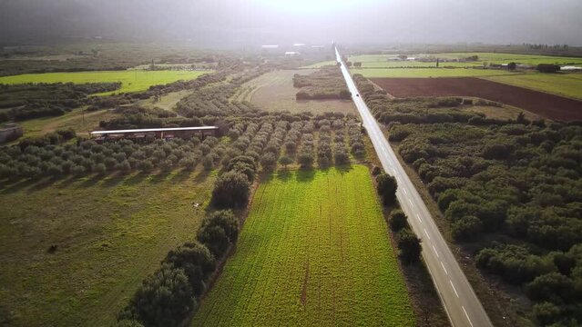 High drone footage of a road passing through cultivated green fields at sunset in Tithorea, Greece