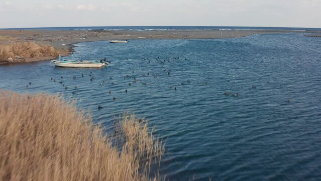 Drone flight over river and beach with waterbirds at sunset Miyazaki Japan