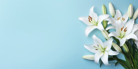 Fototapeta na wymiar Spring flowers lily. Bouquet of flowers on pastel background. Valentine's Day, Easter, Birthday, Happy Women's Day, Mother's Day. Flat lay, top view, copy space for text