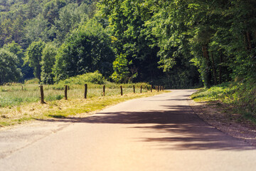 Fototapeta na wymiar Car road in the summer forest.