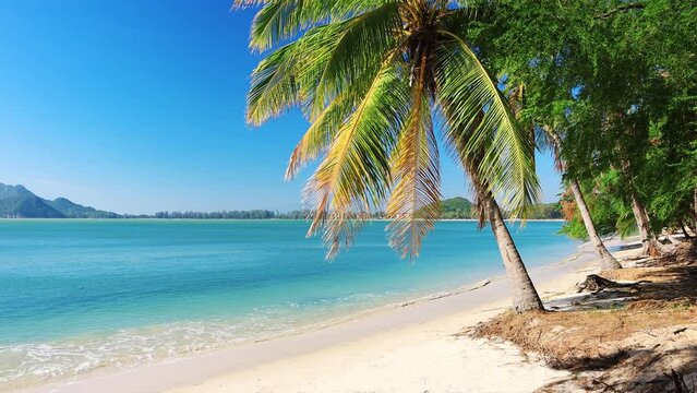 Beach and coconut palm trees. Prachuap Khiri Khan, Thailand
