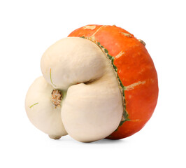 One fresh ripe pumpkin isolated on white