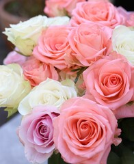 Beautiful bouquet of aromatic roses outdoors, closeup