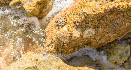 stones with shellfish on the shore for banner background