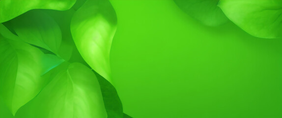 Fondo verde claro y azul abstracto. Fondo degradado natural con luz solar. Ilustración vectorial. Concepto de ecología para su diseño gráfico, pancarta o afiche, sitio web - obrazy, fototapety, plakaty