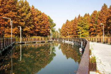 Bacheng Ecological Wetland Park in Suzhou, China during autumn session.