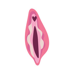 Pink female vulva on white background