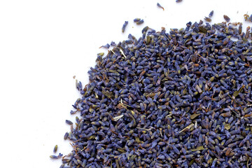 Dried lavender flowers on white background.