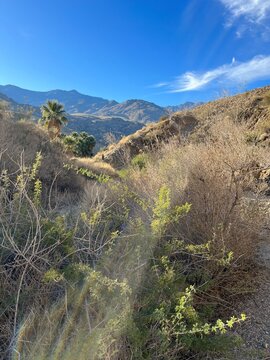 landscape in the mountains