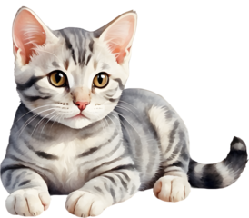 American Shorthair Water color Generative AI