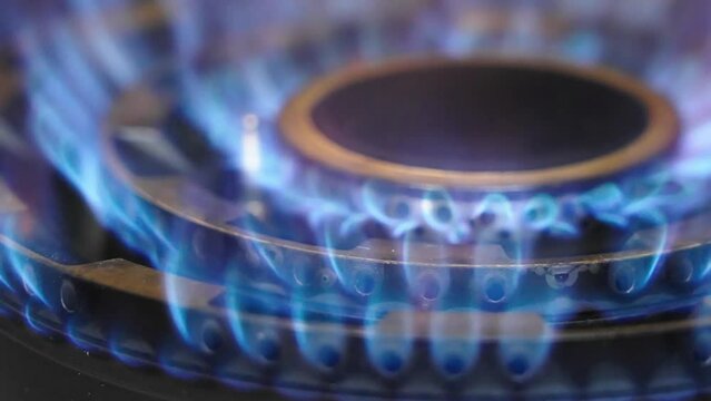 a fire lights up in the burner of the gas stove. close-up burning burner flame.
