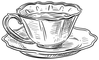 teacup handdrawn illustration