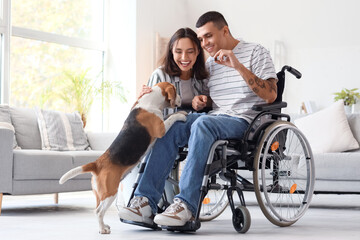 Young man in wheelchair and his wife with Beagle dog at home - obrazy, fototapety, plakaty