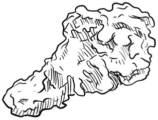 fried chicken handdrawn illustration