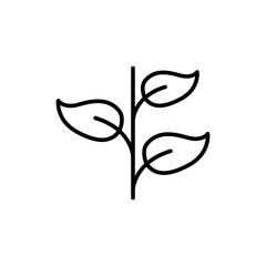 Leaf outline icons, nature minimalist vector illustration ,simple transparent graphic element .Isolated on white background