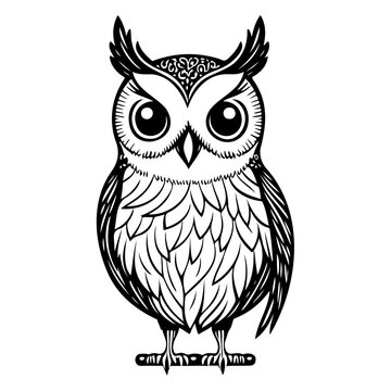 owl animal illustration sketch hand draw black